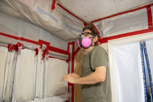 Mold Odor Removal Services in New Concord, OH